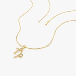 14K Capricorn Zodiac Charm Necklace