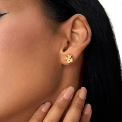 14k Citrine Four Leaf Clover Studs