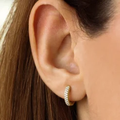 14k Double Row Micro Pave Petite Diamond Hoops