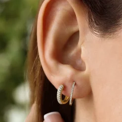 14k Double Row Micro Pave Petite Diamond Hoops