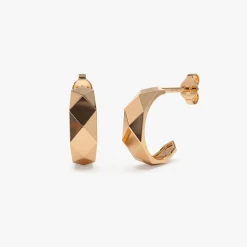 14k Gold Statement Earring