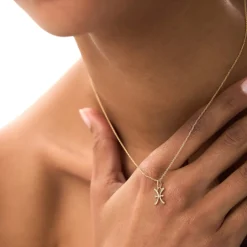 14K Pisces Zodiac Charm Necklace