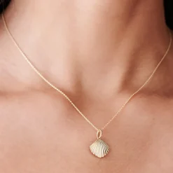 14k Shell Charm Necklace