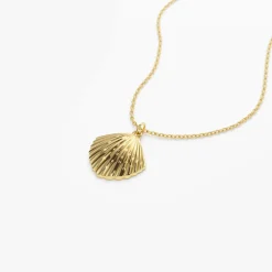 14k Shell Charm Necklace